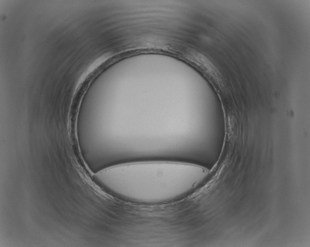 X0000063500780200601201025