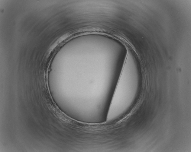 X0000063500781200601201025