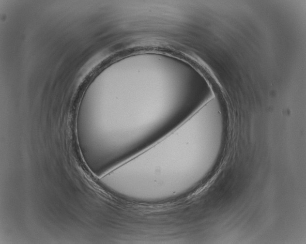 X0000063500783200601201025