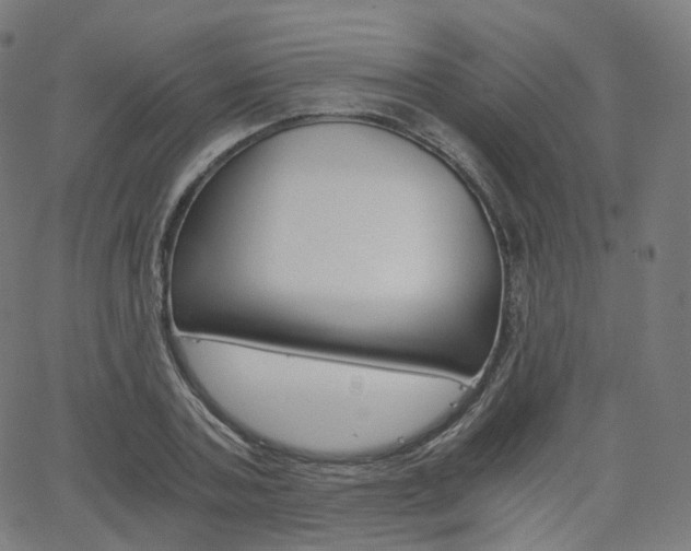 X0000063500787200601201025