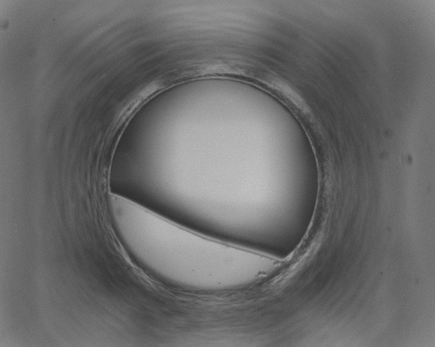 X0000063500793200601201025