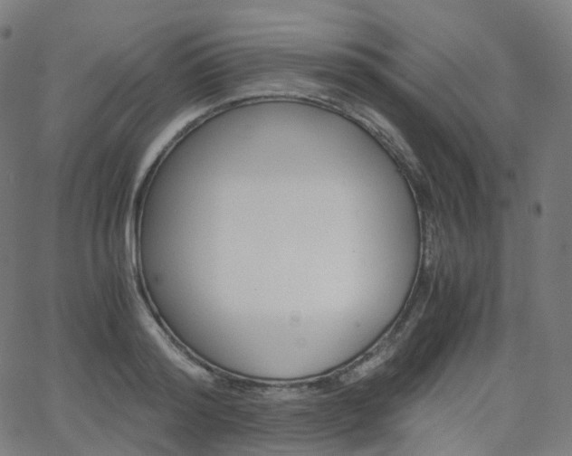 X0000063500796200601201025