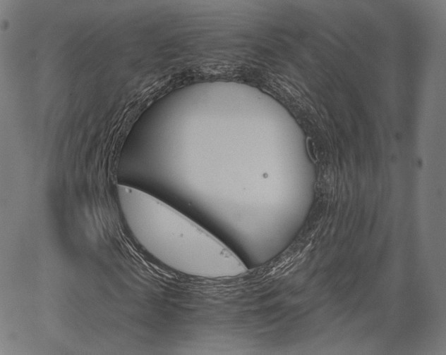 X0000063500817200601201024