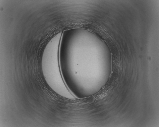 X0000063500818200601201024