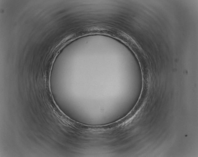 X0000063500825200601201024