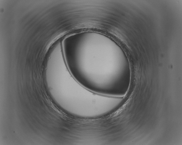 X0000063500826200601201024