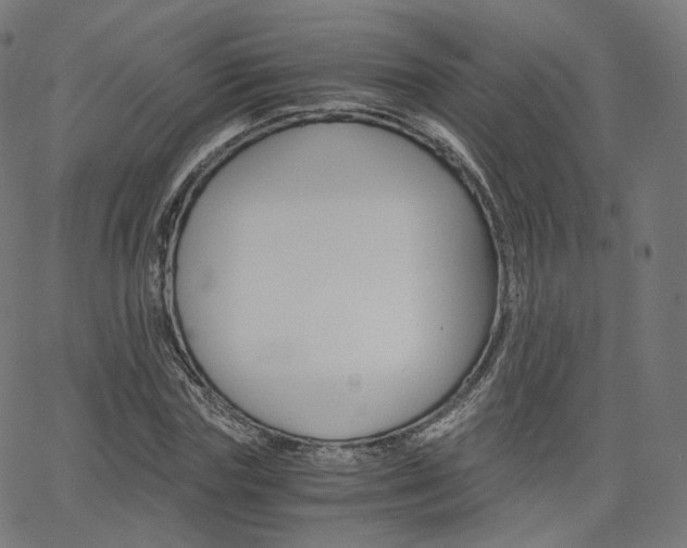 X0000063500827200601201024