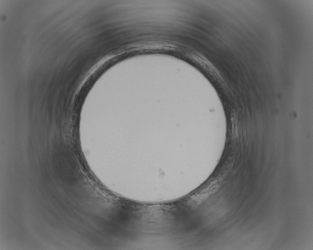 X0000063500828200601201024