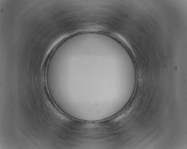 X0000063500835200601201024