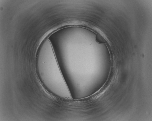 X0000063500837200601201024