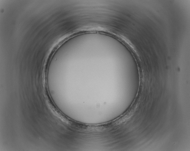 X0000063500840200601201024