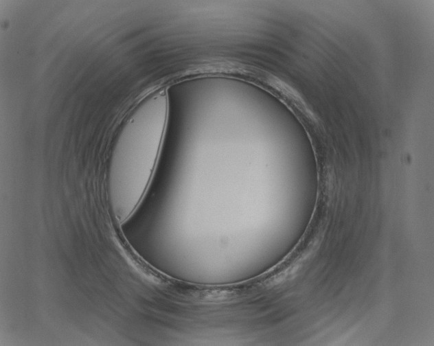 X0000063500841200601201024