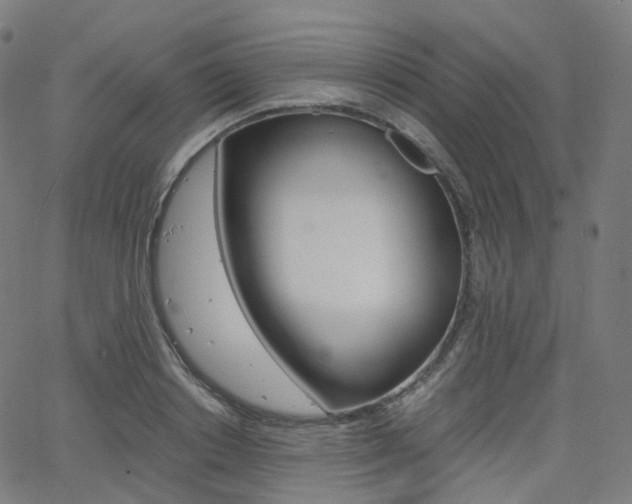 X0000063500842200601201024