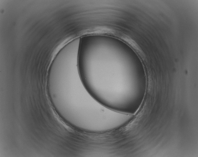 X0000063500850200601201024