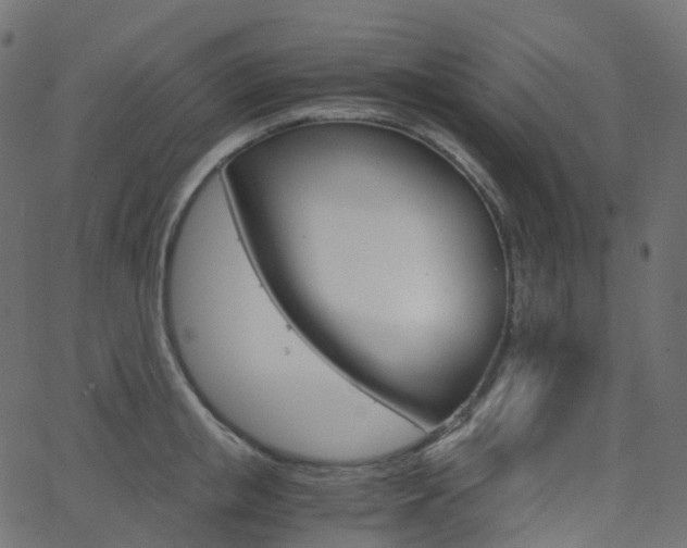 X0000063500853200601201024