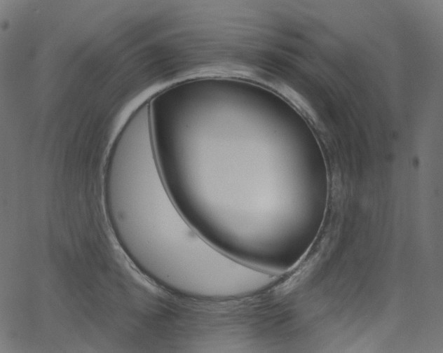 X0000063500854200601201024