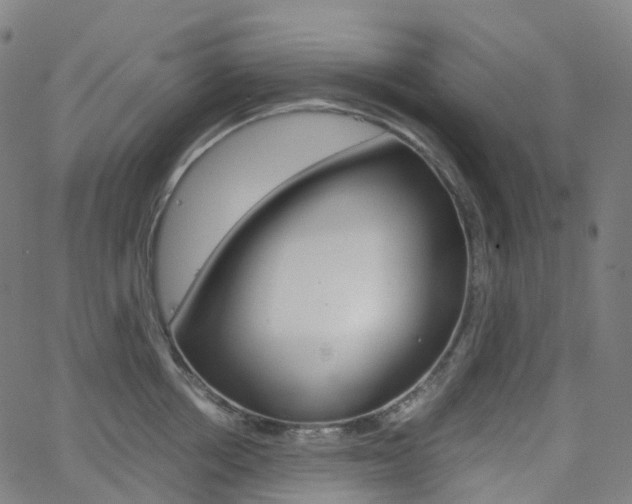 X0000063500858200601201024