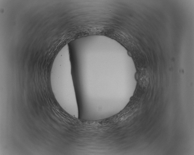 X0000063500866200601201024