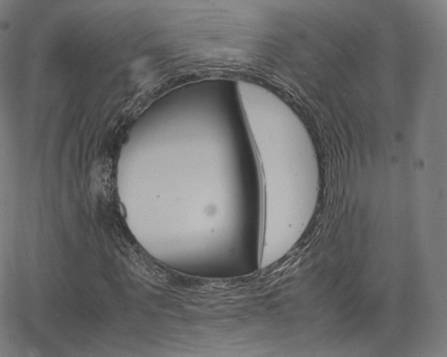 X0000063500867200601201024