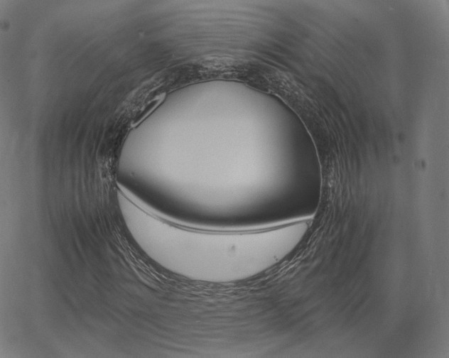X0000063500868200601201024