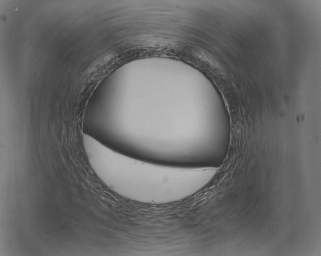 X0000063500869200601201024