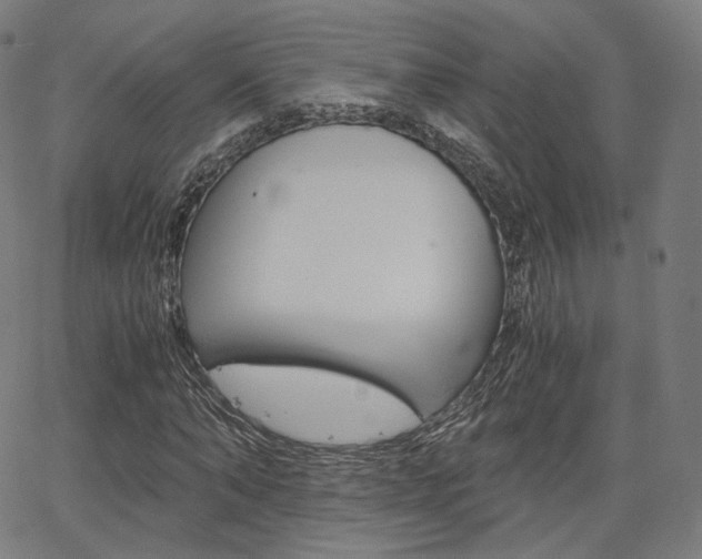 X0000063500870200601201024