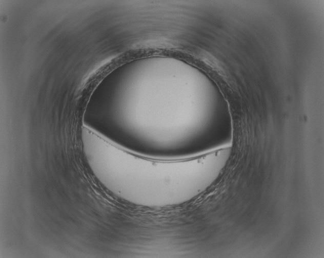 X0000063500872200601201023
