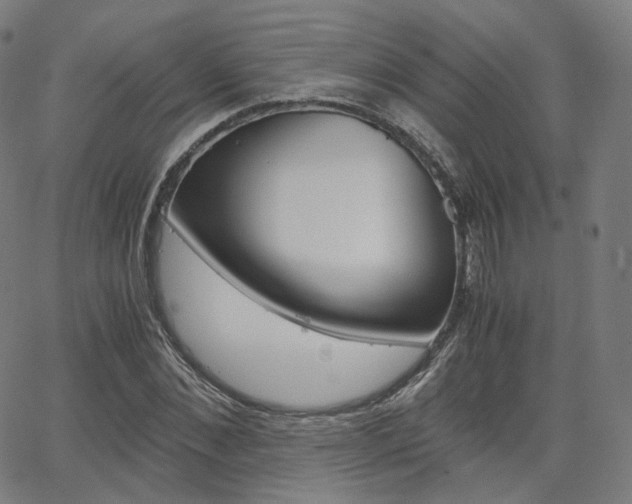 X0000063500876200601201023