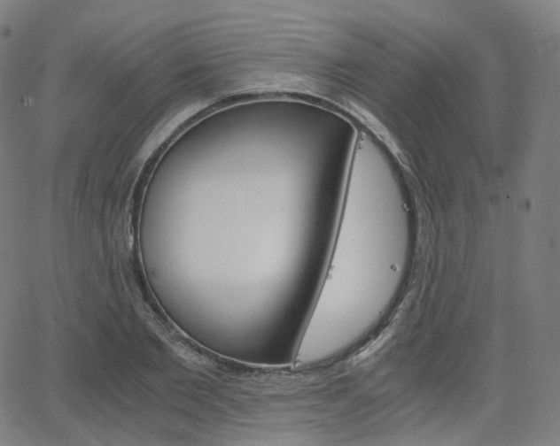 X0000063500885200601201023