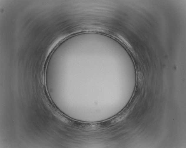 X0000063500891200601201023