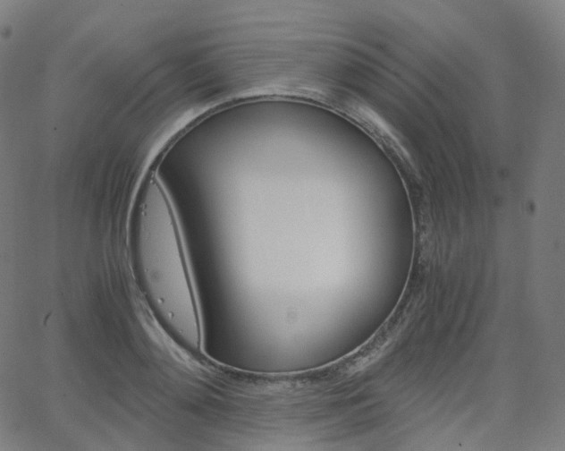 X0000063500892200601201023