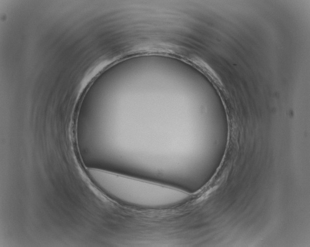 X0000063500893200601201023
