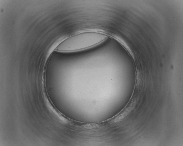 X0000063500906200601201023