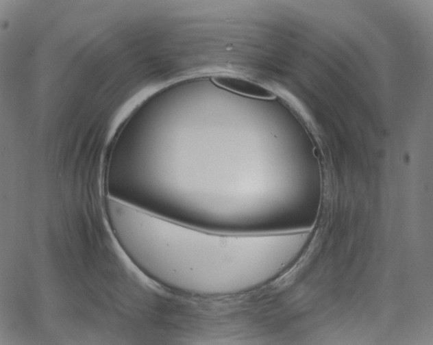 X0000063500910200601201023