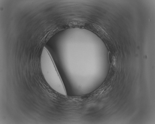 X0000063500915200601201022