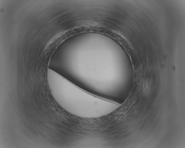 X0000063500919200601201022