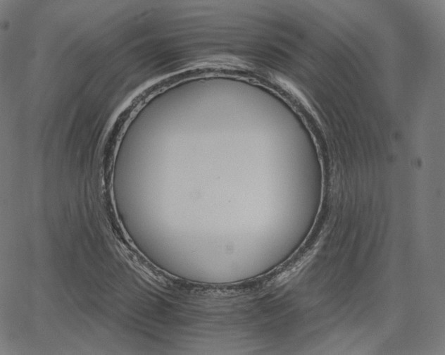 X0000063500923200601201022