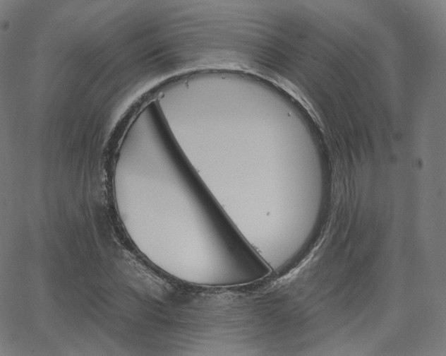 X0000063500926200601201022
