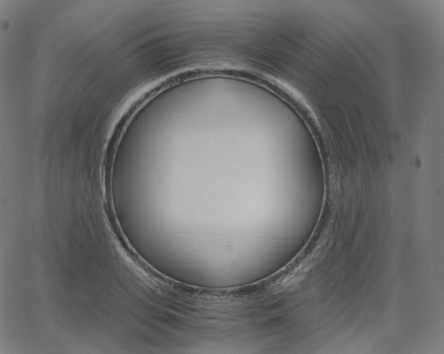 X0000063500935200601201022