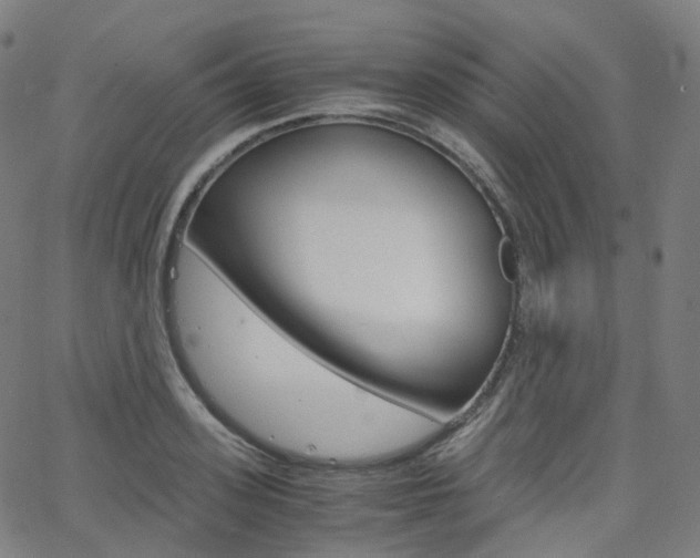 X0000063500939200601201022
