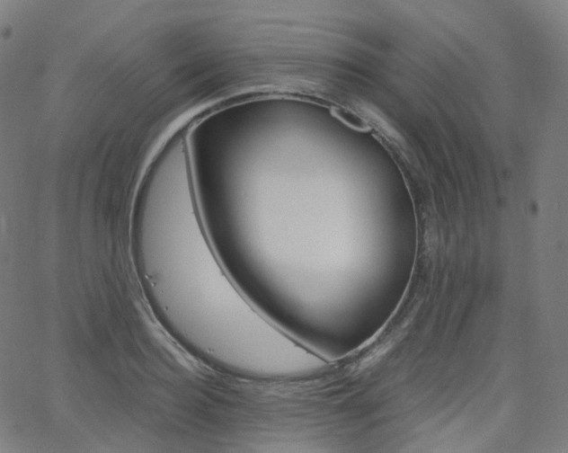 X0000063500940200601201022