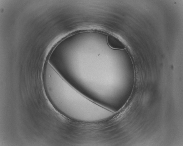 X0000063500943200601201023