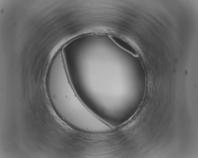 X0000063500944200601201023