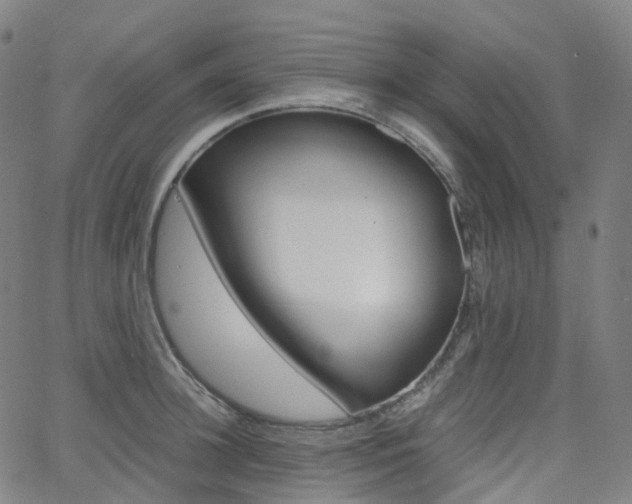 X0000063500948200601201023
