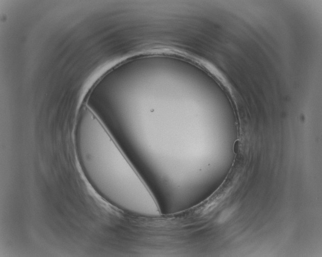 X0000063500951200601201023