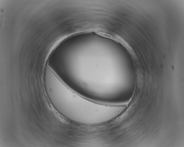 X0000063500956200601201023
