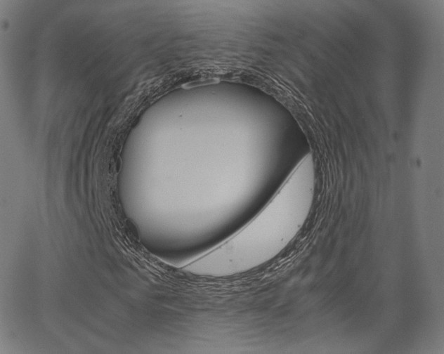 X0000063500961200601201022