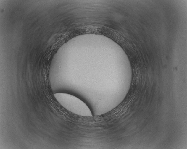 X0000063500962200601201022