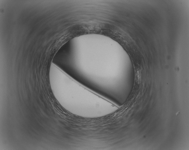X0000063500963200601201022