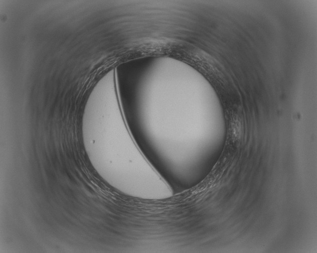 X0000063500964200601201022